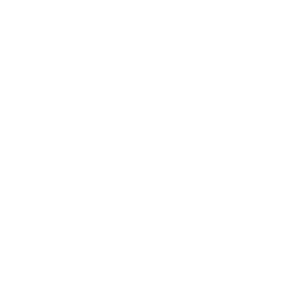 https://forteaspen.com/wp-content/uploads/2024/05/Nemaworkshop-Logo.webp